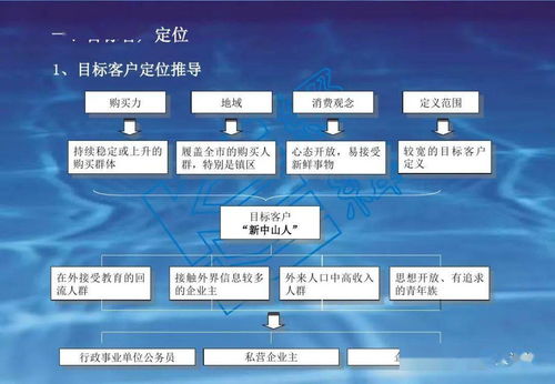 房地产项目定位大全与旅游开发项目策划咨询 双轨驱动的价值创造与战略规划