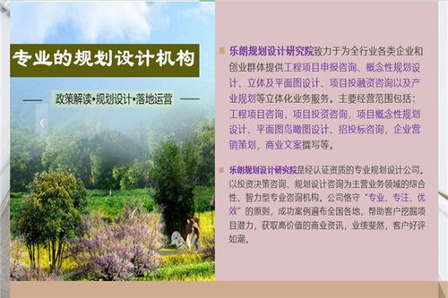 安庆旅游开发项目可行性报告撰写与策划咨询公司选择指南